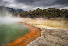 New Zealand 2025 (2 group) (3/84)